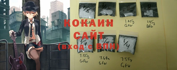 соль ск Верхний Тагил