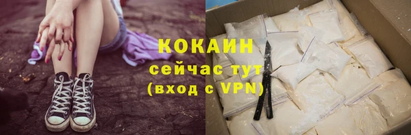 соль ск Верхний Тагил
