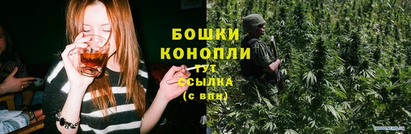 соль ск Верхний Тагил