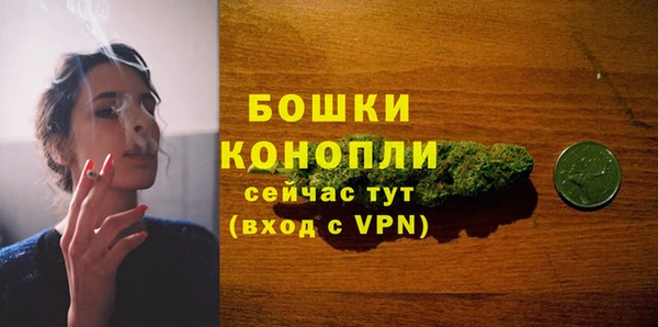 ешки Бородино