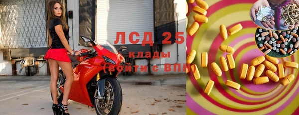 ешки Бородино