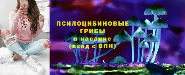 соль ск Верхний Тагил